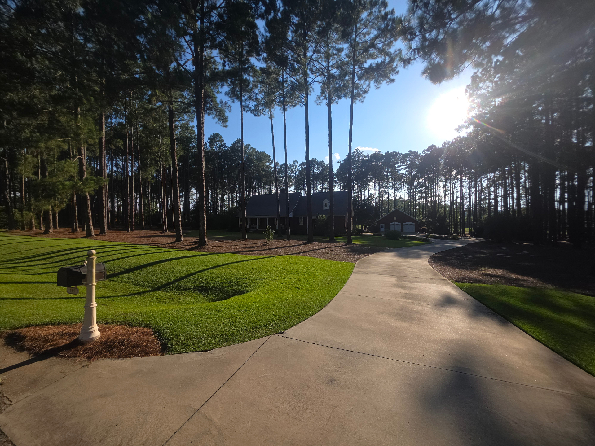 Manicured lawn and curved driveway leading to a home among tall pines