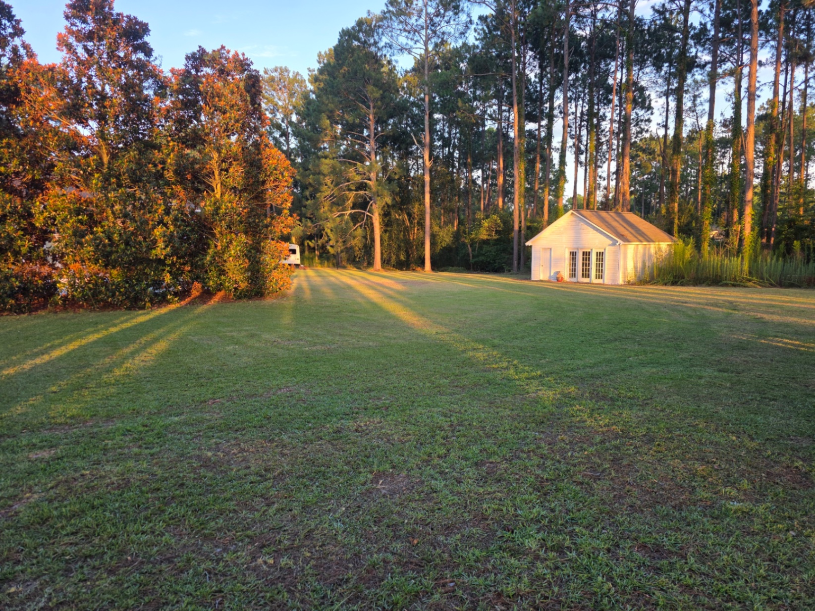 Yard after service